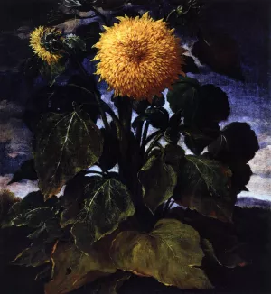 Flower by Bartolomeo Bimbi - Oil Painting Reproduction
