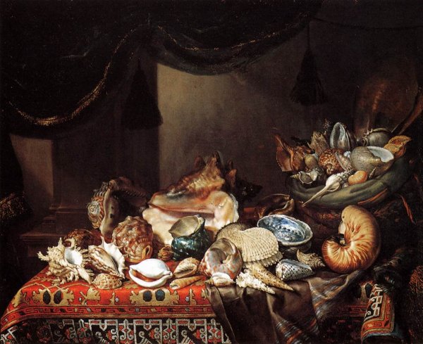Main Product Photo of Shells Painting by Bartolomeo Bimbi