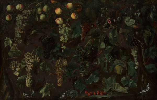 Main Product Photo of Grape Vines and Fruit, with Three Wagtails  Painting by Bartolomeo Cavarozzi