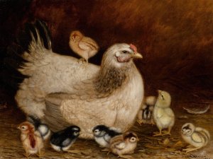 Mother Hen and Chicks by Ben Austrian Oil Painting