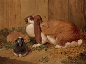 A Lop-Eared Doe Rabbit and her Young by Benjamin Herring Oil Painting