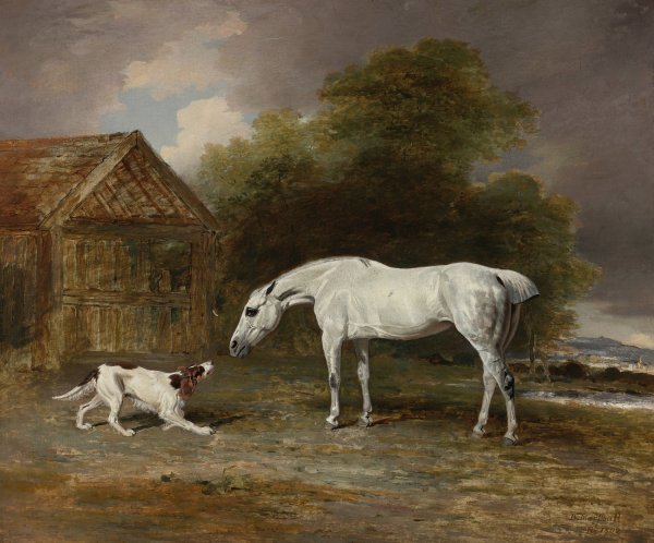 Main Product Photo of A Grey Hunter And A Spaniel  Painting by Benjamin Marshall
