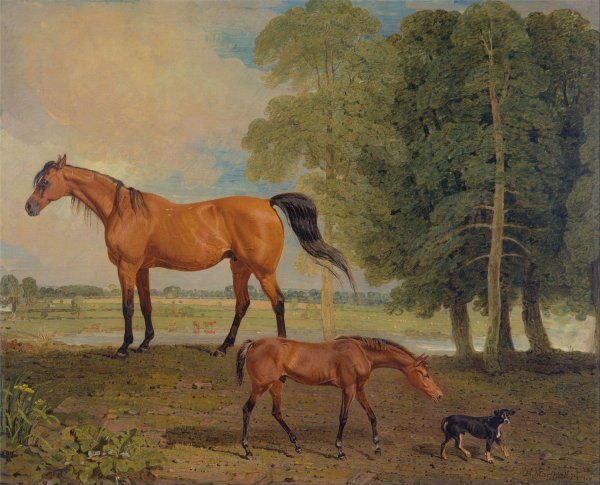Main Product Photo of Broodmare With Foal, And A Terrier  Painting by Benjamin Marshall