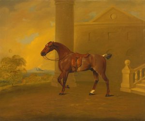 Roan Hack by Benjamin Marshall Oil Painting