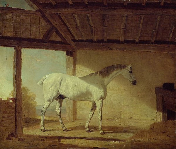 Main Product Photo of The Earl of Coventry's Horse  Painting by Benjamin Marshall