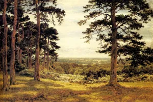 A Peep Through The Pines Oil painting by Benjamin Williams Leader