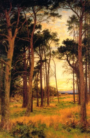 Skirt of a Pine Wood by Benjamin Williams Leader Oil Painting