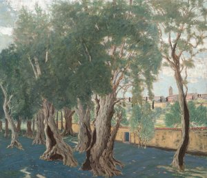 Olive grove by Benno Becker Oil Painting