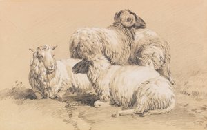 Four sheep by Benno Raffael Adam Oil Painting