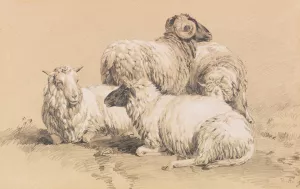 Four sheep by Benno Raffael Adam Oil Painting