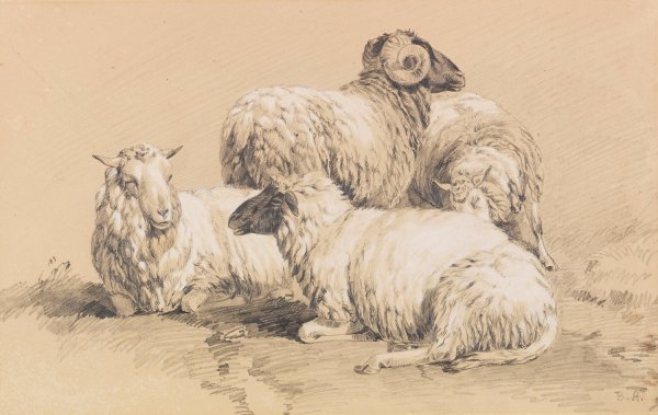 Four sheep by Benno Raffael Adam - Hand-Painted Oil Painting Reproduction
