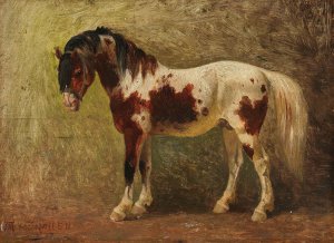 Horse Portrait by Benno Raffael Adam Oil Painting