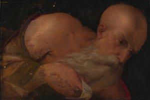 Portrait of a Man by Benvenuto Tisi Oil Painting