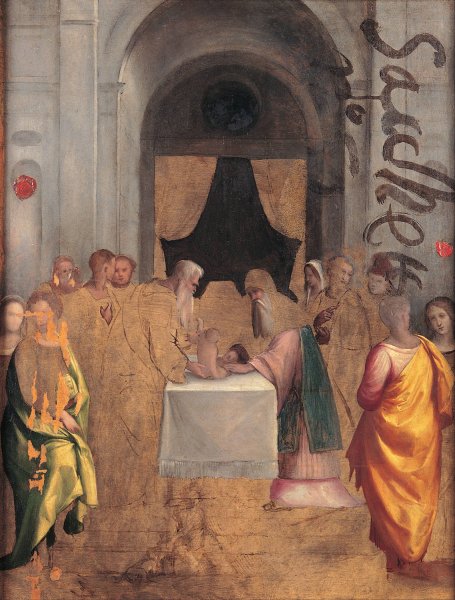 Main Product Photo of Presentation at the Temple  Painting by Benvenuto Tisi