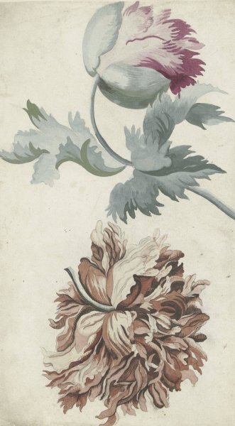 Papavers  by Bernard Picart - Hand-Painted Oil Painting Reproduction