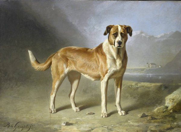 St Bernard Dog  by Bernard Te Gempt - Hand-Painted Oil Painting Reproduction