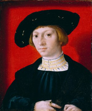 A Young Man by Bernard Van Orley Oil Painting