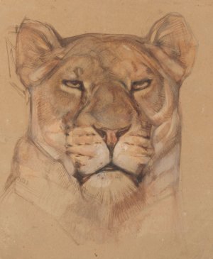 Kop leeuwin by Bernard Willem Wierink Oil Painting