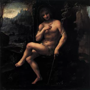 St John the Baptist in the Wilderness Oil painting by Bernardino Lanino