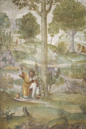 Cephalus Hiding the Jewels by Bernardino Luini Oil Painting