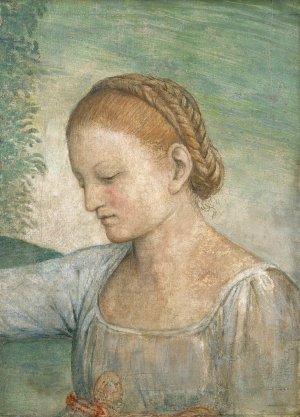 Head of a Girl by Bernardino Luini Oil Painting