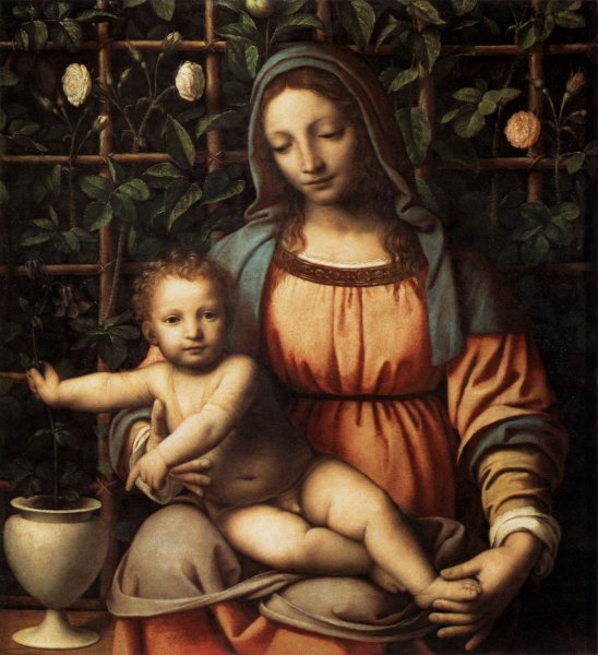 Main Product Photo of Madonna in the Rose Garden Painting by Bernardino Luini