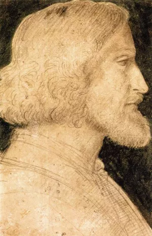 Portrait of Biagio Arcimboldo by Bernardino Luini - Oil Painting Reproduction