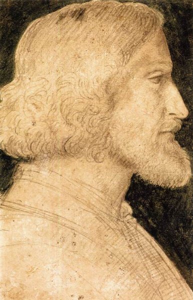 Main Product Photo of Portrait of Biagio Arcimboldo Painting by Bernardino Luini
