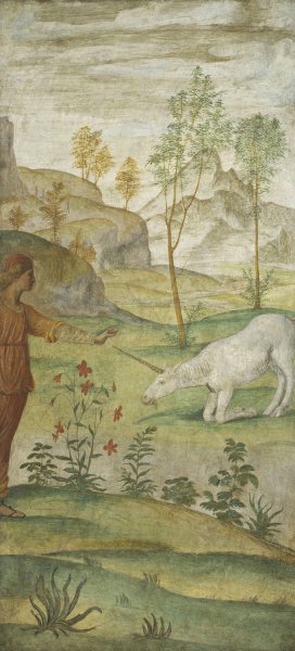 Procris and the Unicorn by Bernardino Luini Oil Painting