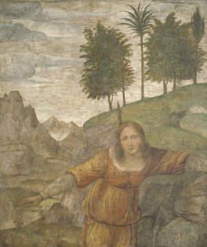 Procris Pierced by Cephalus' Javelin by Bernardino Luini Oil Painting