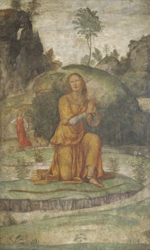 Procris' Prayer to Diana by Bernardino Luini Oil Painting