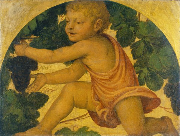 Putto picking Grapes  by Bernardino Luini - Hand-Painted Oil Painting Reproduction
