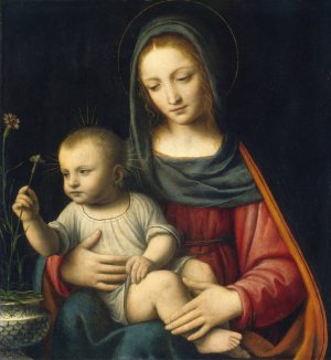 The Madonna of the Carnation by Bernardino Luini Oil Painting