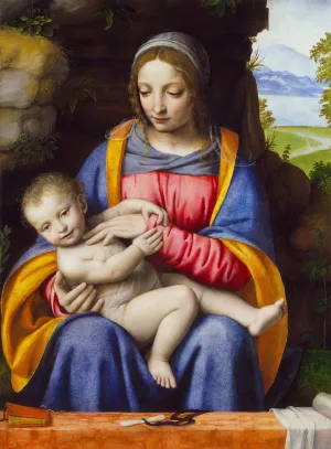 The Virgin and Child in a Landscape by Bernardino Luini Oil Painting