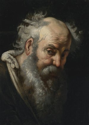 Head Of A Bearded Man by Bernardo Strozzi Oil Painting