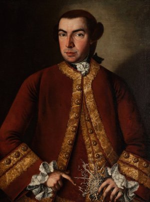 Johannes Paulus de Weissenberg by Bernardus Friedrich Oil Painting
