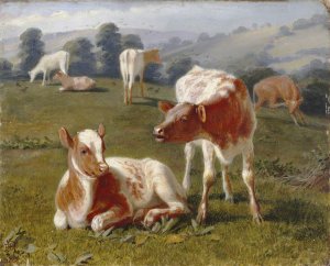 Calves in a Meadow by Briton Riviere Oil Painting