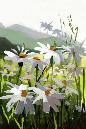 Daisies 1 by Brook Page Oil Painting