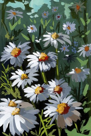 Daisies 2 Oil painting by Brook Page