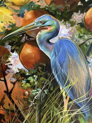 Tricolored Heron by Brook Page Oil Painting