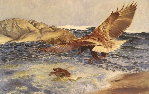 Main Product Photo of A Sea Eagle Chasing Eider Duck Painting by Bruno Liljefors