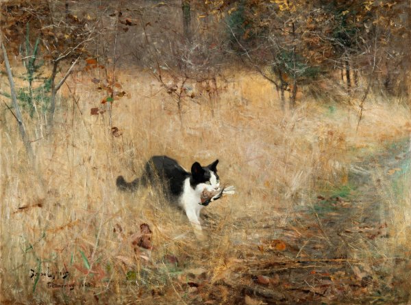 Main Product Photo of Cat Hunting Birds  Painting by Bruno Liljefors