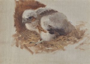 Detail Study of a Peregrine Falcon's Nest by Bruno Liljefors Oil Painting