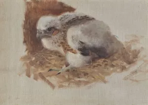 Detail Study of a Peregrine Falcon's Nest by Bruno Liljefors Oil Painting