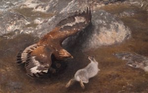 Eagle and Hare by Bruno Liljefors Oil Painting