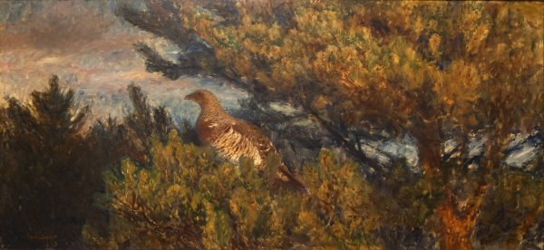 Female Capercaillie  by Bruno Liljefors - Hand-Painted Oil Painting Reproduction
