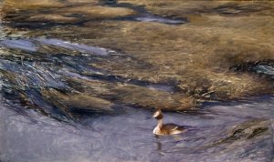 Grebe by Bruno Liljefors Oil Painting