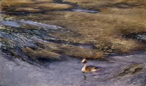 Grebe by Bruno Liljefors Oil Painting
