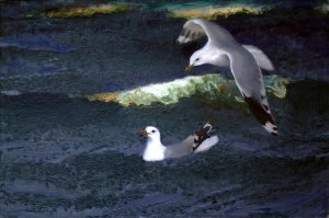 Gulls by Bruno Liljefors Oil Painting