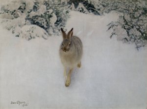 Hare in Winter by Bruno Liljefors Oil Painting